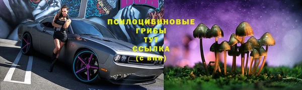 ГАЛЛЮЦИНОГЕННЫЕ ГРИБЫ Волоколамск
