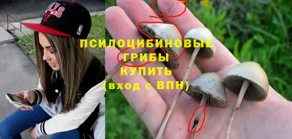 ГАЛЛЮЦИНОГЕННЫЕ ГРИБЫ Волоколамск