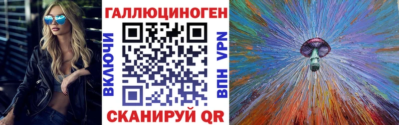 Купить  Костомукша  Псилоцибиновые грибы Psilocybe 