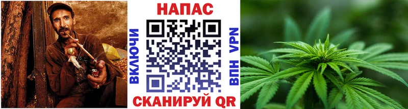 Бошки марихуана THC 21%  Купить  Костомукша 